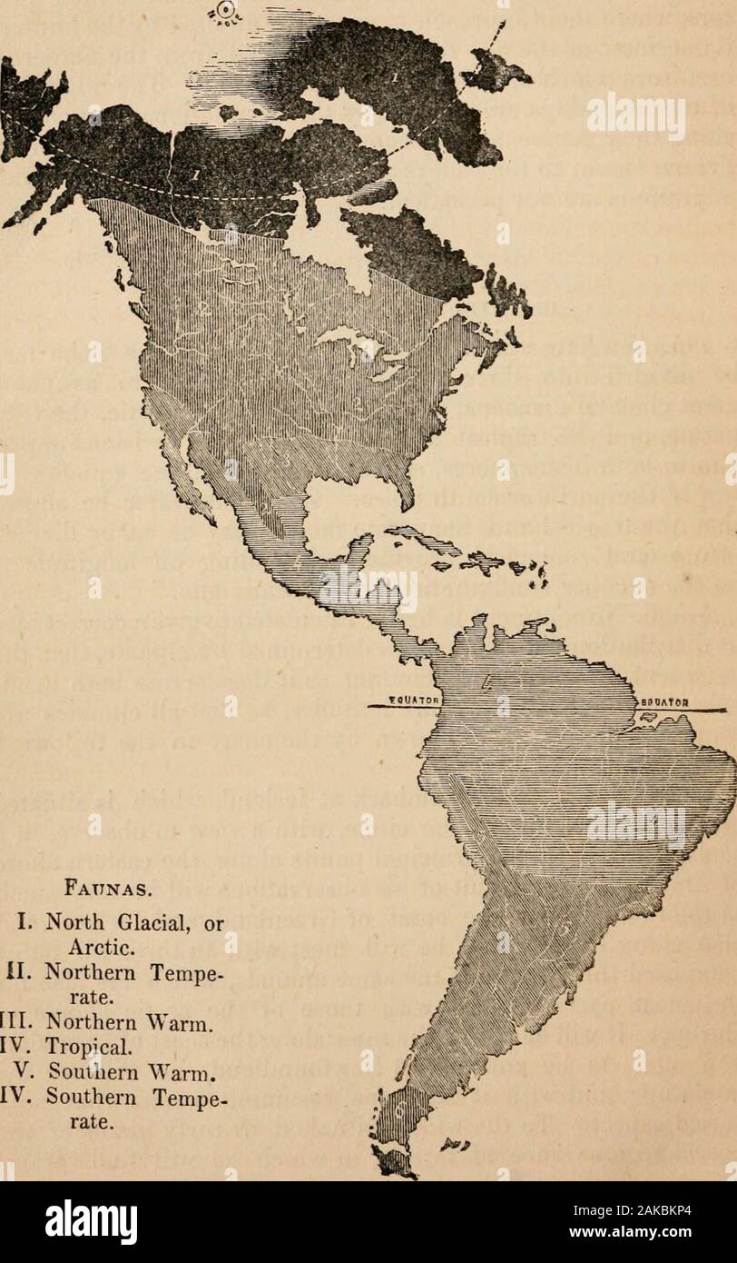 Outlines of comparative physiology touching the structure and development of the races of animals, living and extinct : for the use of schools and colleges . s, and embracing all latitudes, so that all climates arerepresented upon it, as shown by the chart on the followingpage. § 597. Let a traveller embark at Iceland, which is situatedon the borders of the polar circle, with a view to observe, in azoological aspect, the principal points along the eastern shoreof America. The result of his observations will be very muchas foUows. Along the coast of Greenland and Iceland, andalso along Baffins Stock Photo