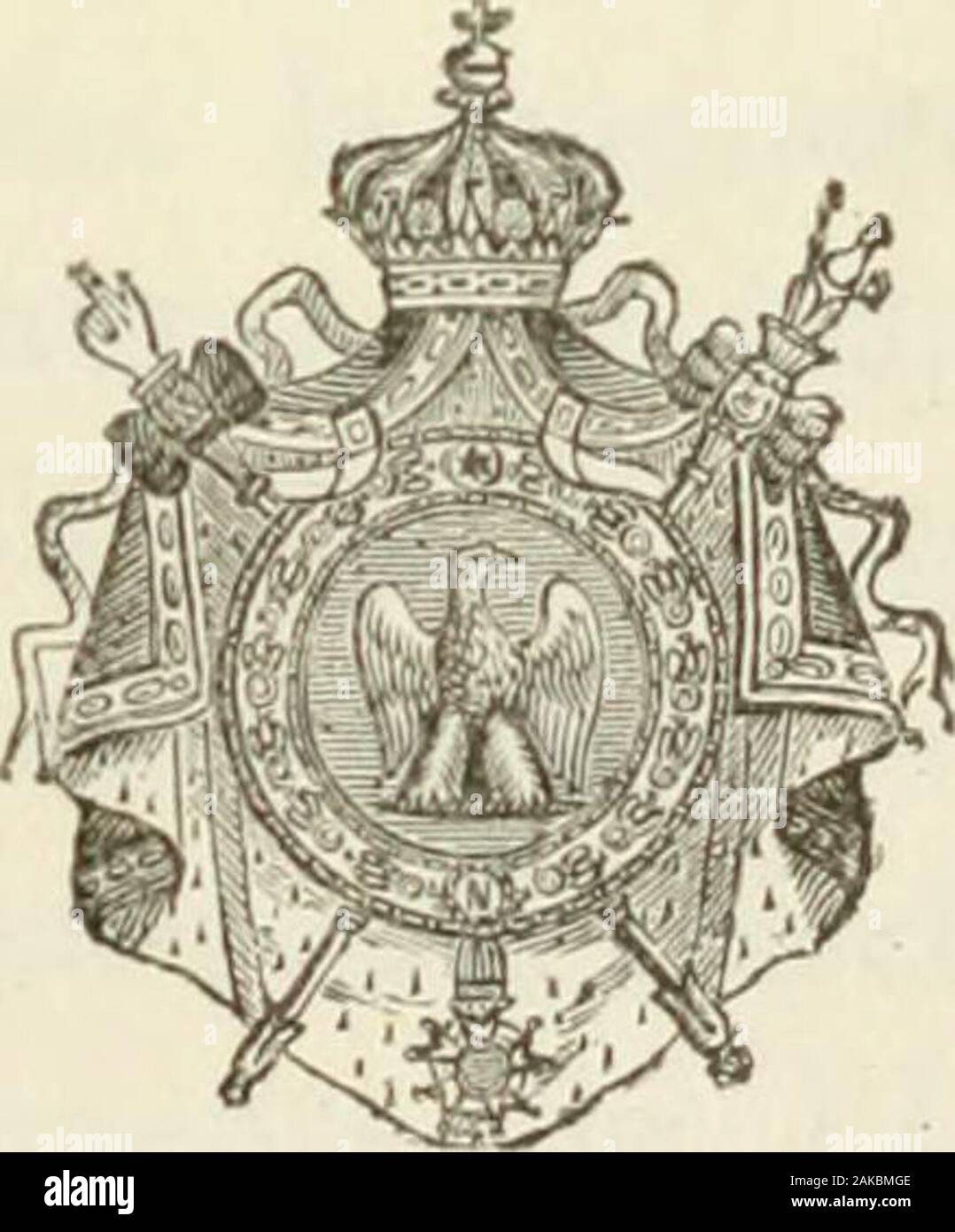 Ecusson Bleuet de France Brodé Armée de l'Air