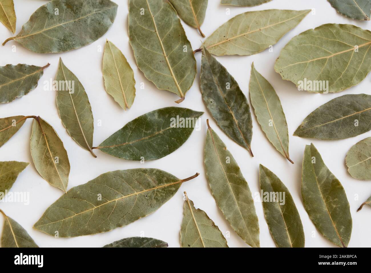 Dried bay leaves, aromatic seasoning ingredients Stock Photo Alamy