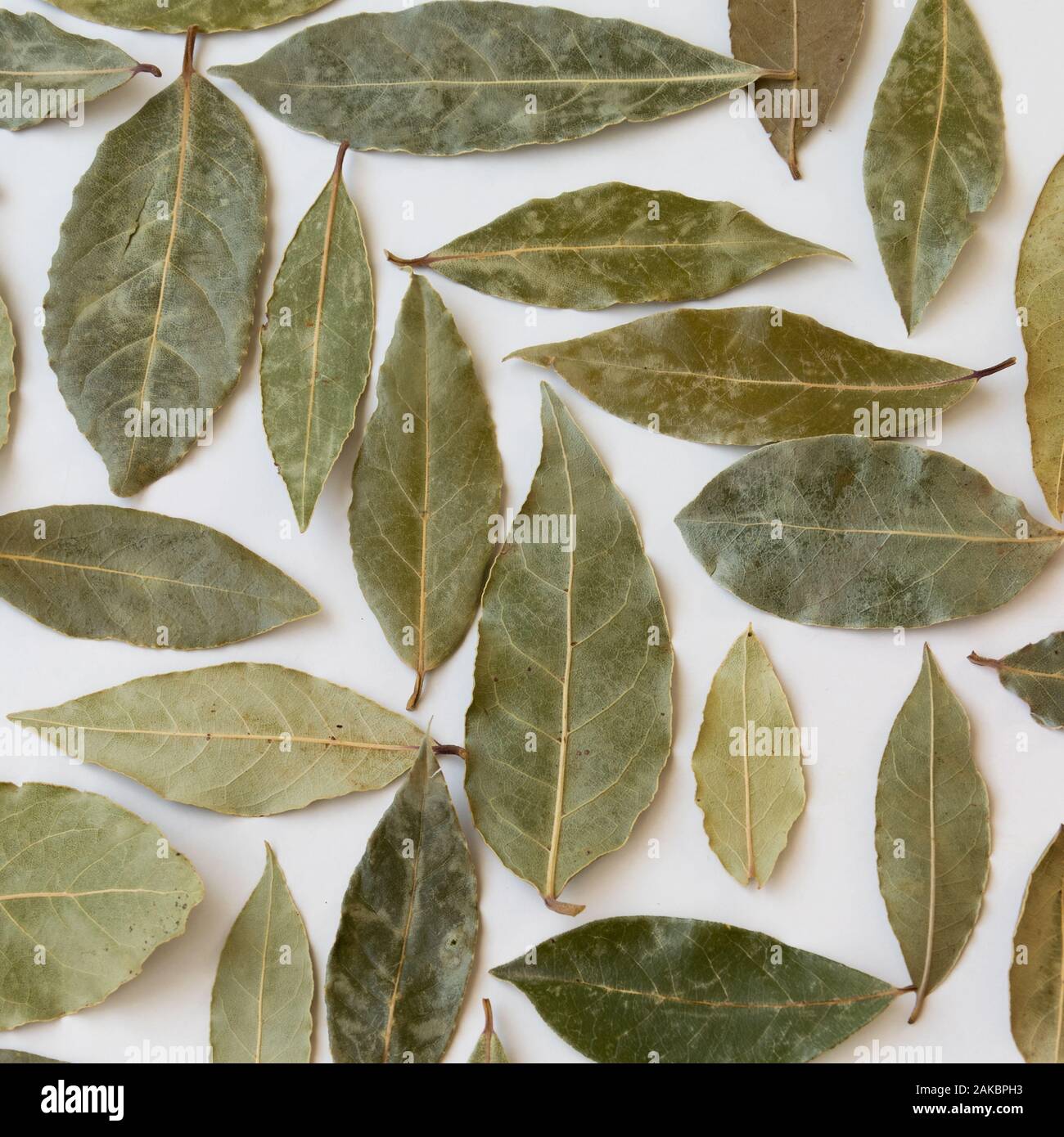 Dried bay leaves, aromatic seasoning ingredients Stock Photo Alamy