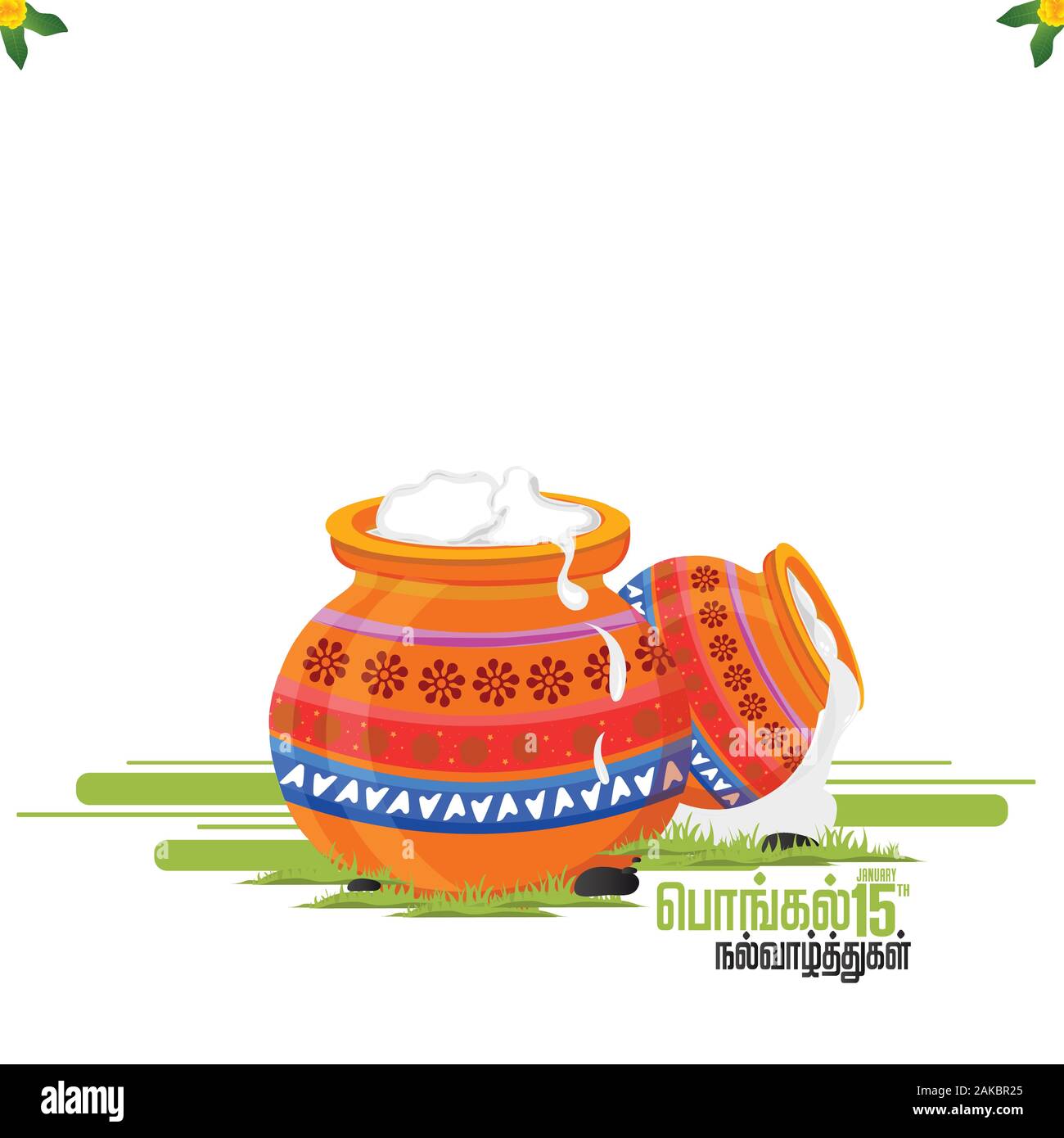 illustration of Happy Pongal greeting card background. happy pongal  translate Tamil text Stock Vector Image & Art - Alamy