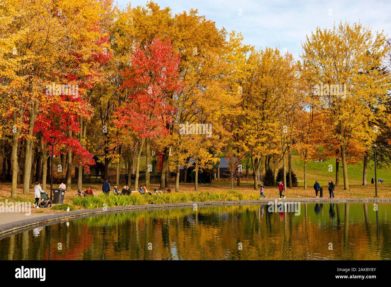 Canada, Province of Quebec, Montreal, Mount Royal Park, Beaver Lake in the colors of Indian Summer Stock Photo