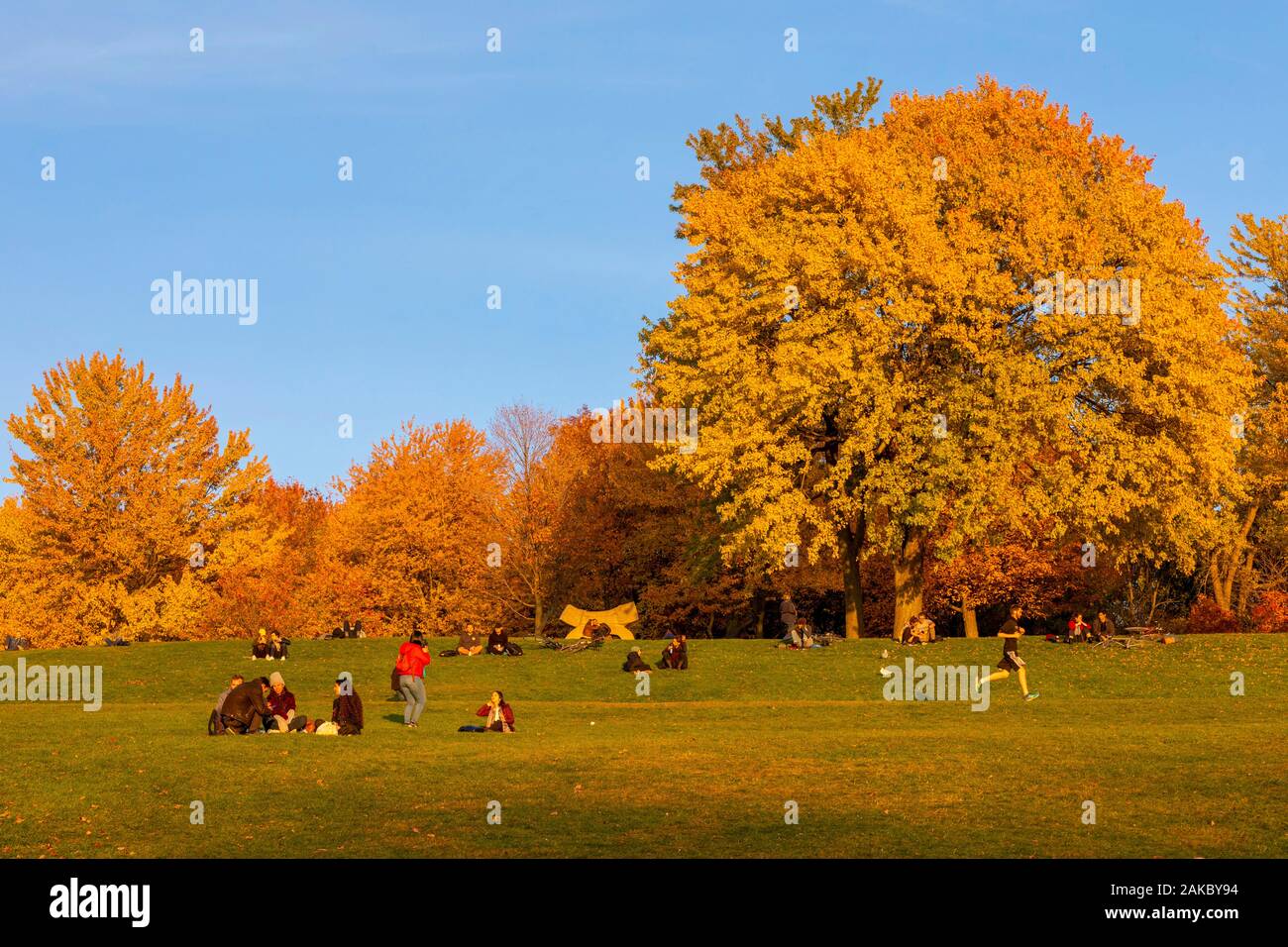 Canada, Province of Quebec, Montreal, Mount Royal, the colors of Indian summer Stock Photo