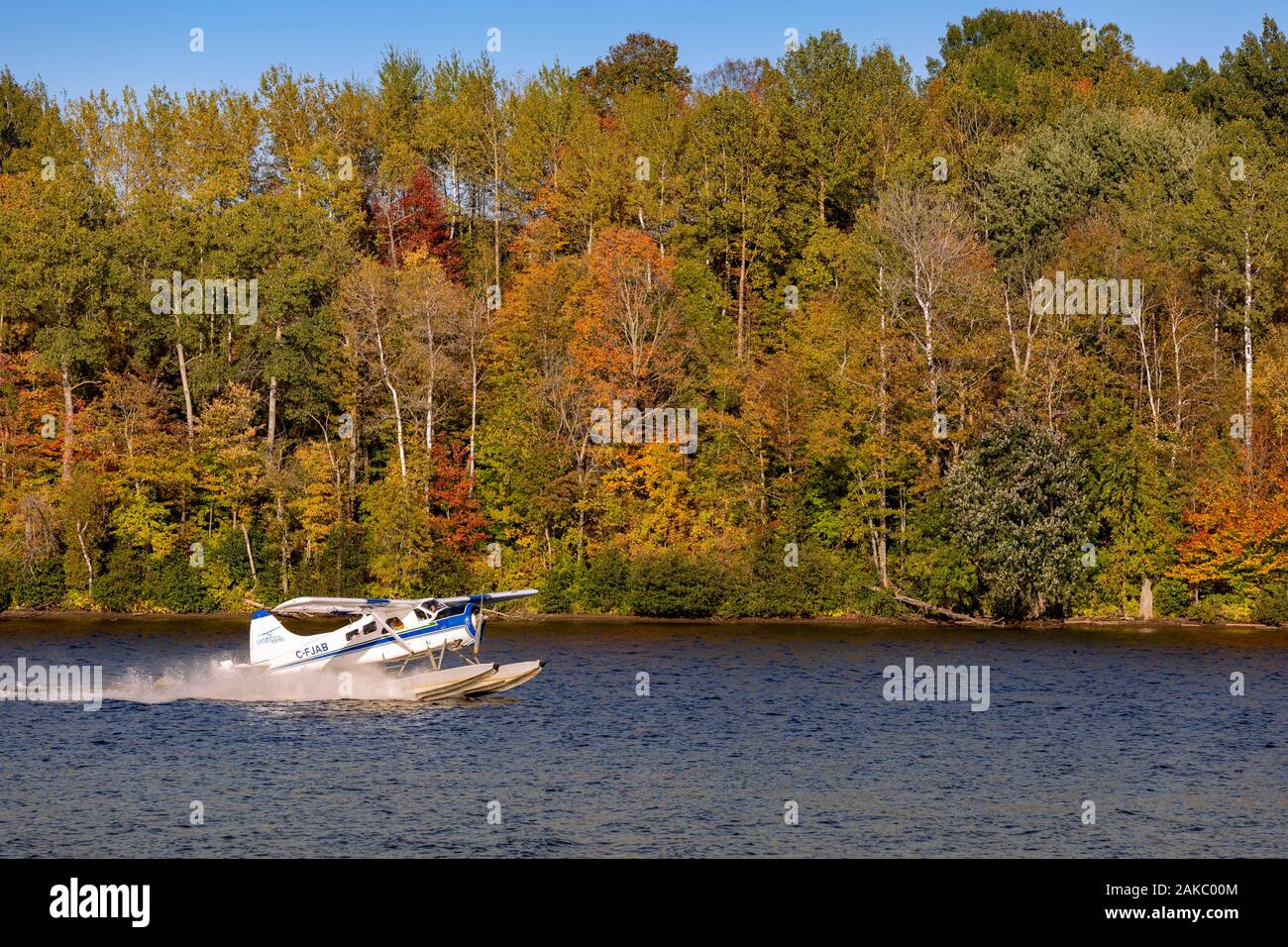 Canada, Province of Quebec, Mauricie Region, Flight with Hydravion Adventure in the Indian Summer Season, landing on the Saint-Maurice River with a de Havilland Canada DHC-2, also known as Beaver (aerial view) Stock Photo