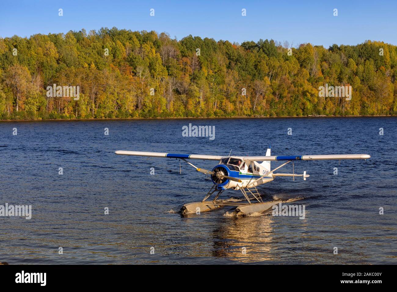 Canada, Province of Quebec, Mauricie Region, Flight with Hydravion Adventure in the Indian Summer Season, landing on the Saint-Maurice River with a de Havilland Canada DHC-2, also known as Beaver (aerial view) Stock Photo