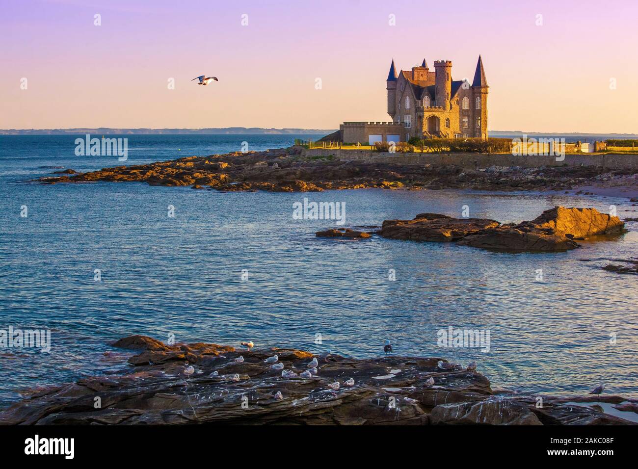 France, Morbihan, wild coast, Quiberon Peninsula, Pointe de Beg er Lann (or Pointe de la Lande