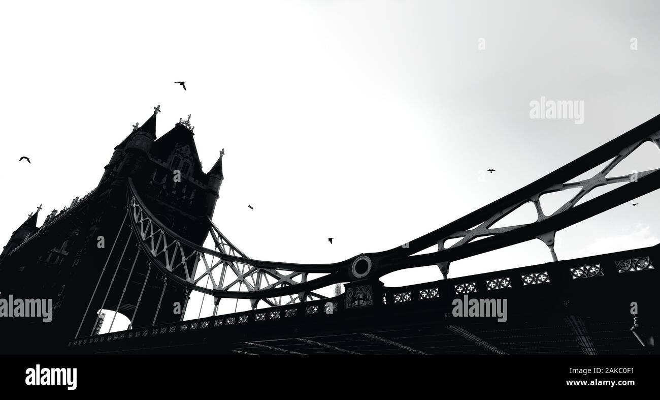London Tower Bridge Silhouette in black and white with birds flying around Stock Photo