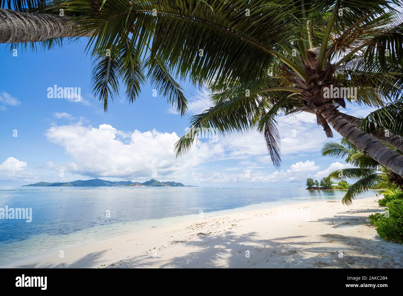 Seychelles, La Digue Island, coconut trees on white beach overlooking Praslin Island from Reunion Island Stock Photo