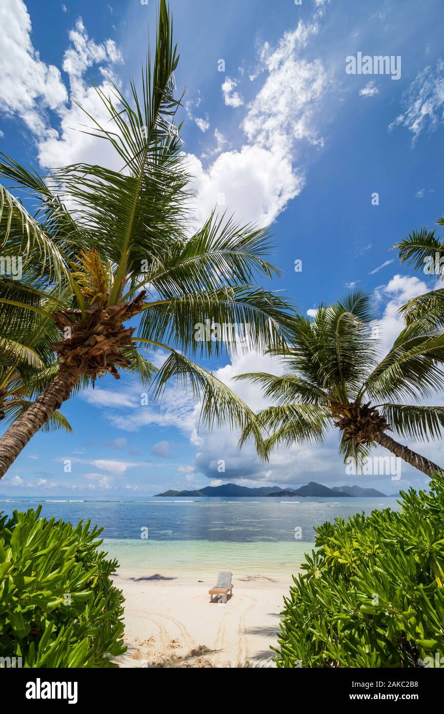 Seychelles, La Digue Island, sun loungers and coconut trees on the white sand beach, overlooking Praslin Island, from the Reunion Island Stock Photo