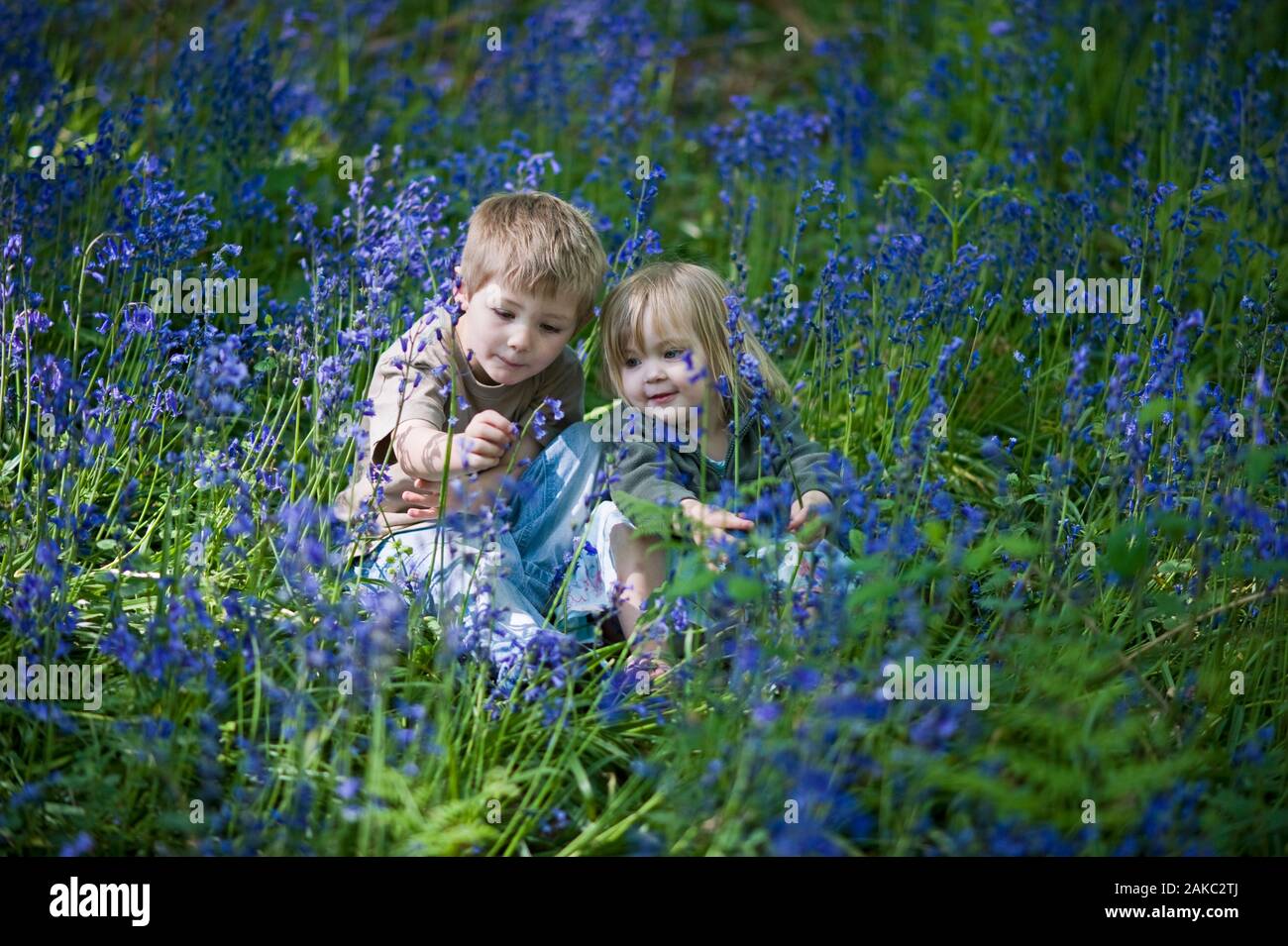 Young boy (Jamres Tipling) & girl (Charlotte Tipling) exploring in Bluebell Wood Norfolk May - Model Released. Stock Photo