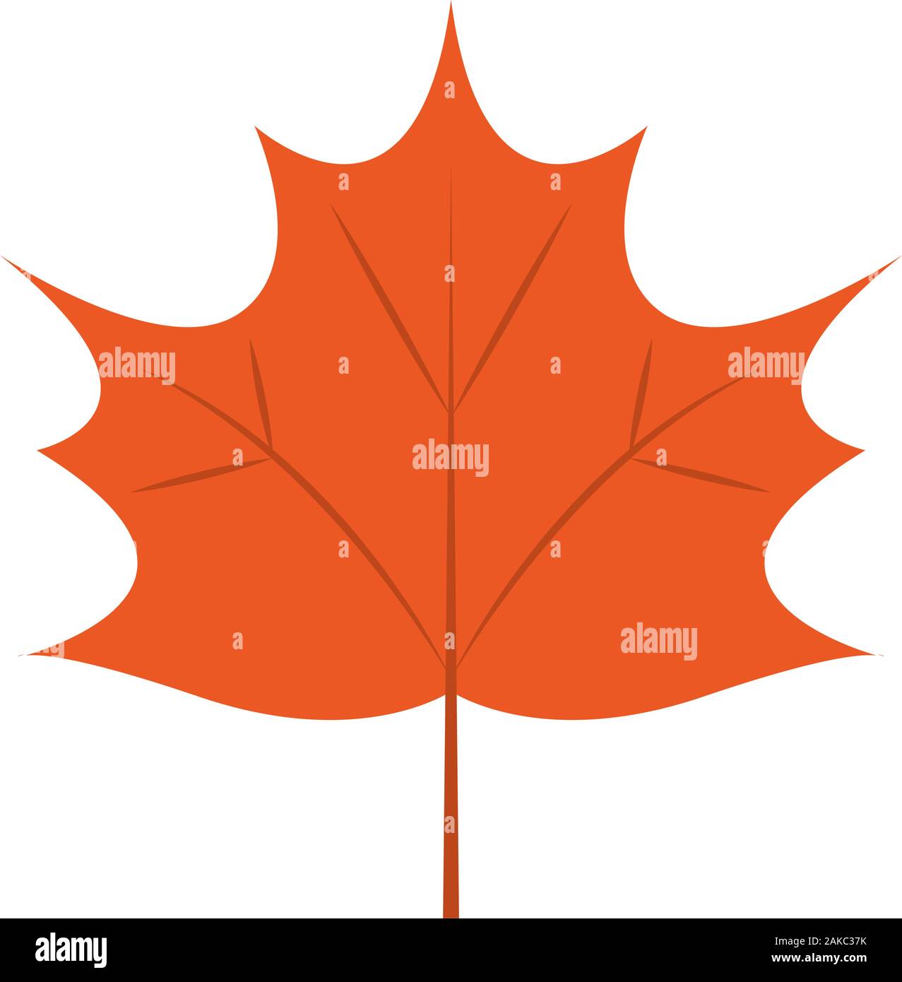 Isolated autumn leaf icon Stock Vector Image & Art - Alamy
