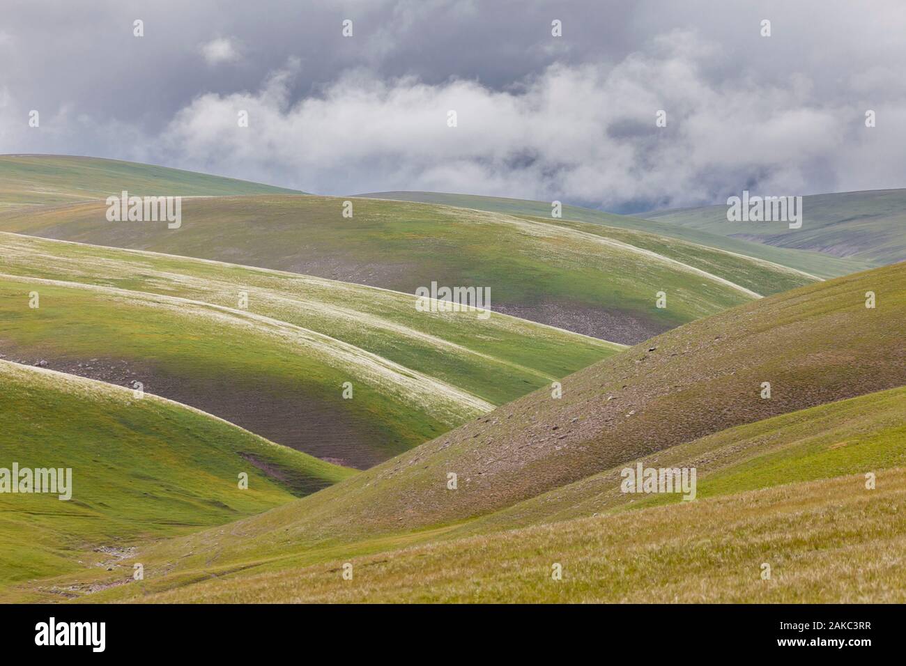 Kyrgyzstan, Osh province, Sary-Moghul, green hills and stormy sky Stock Photo