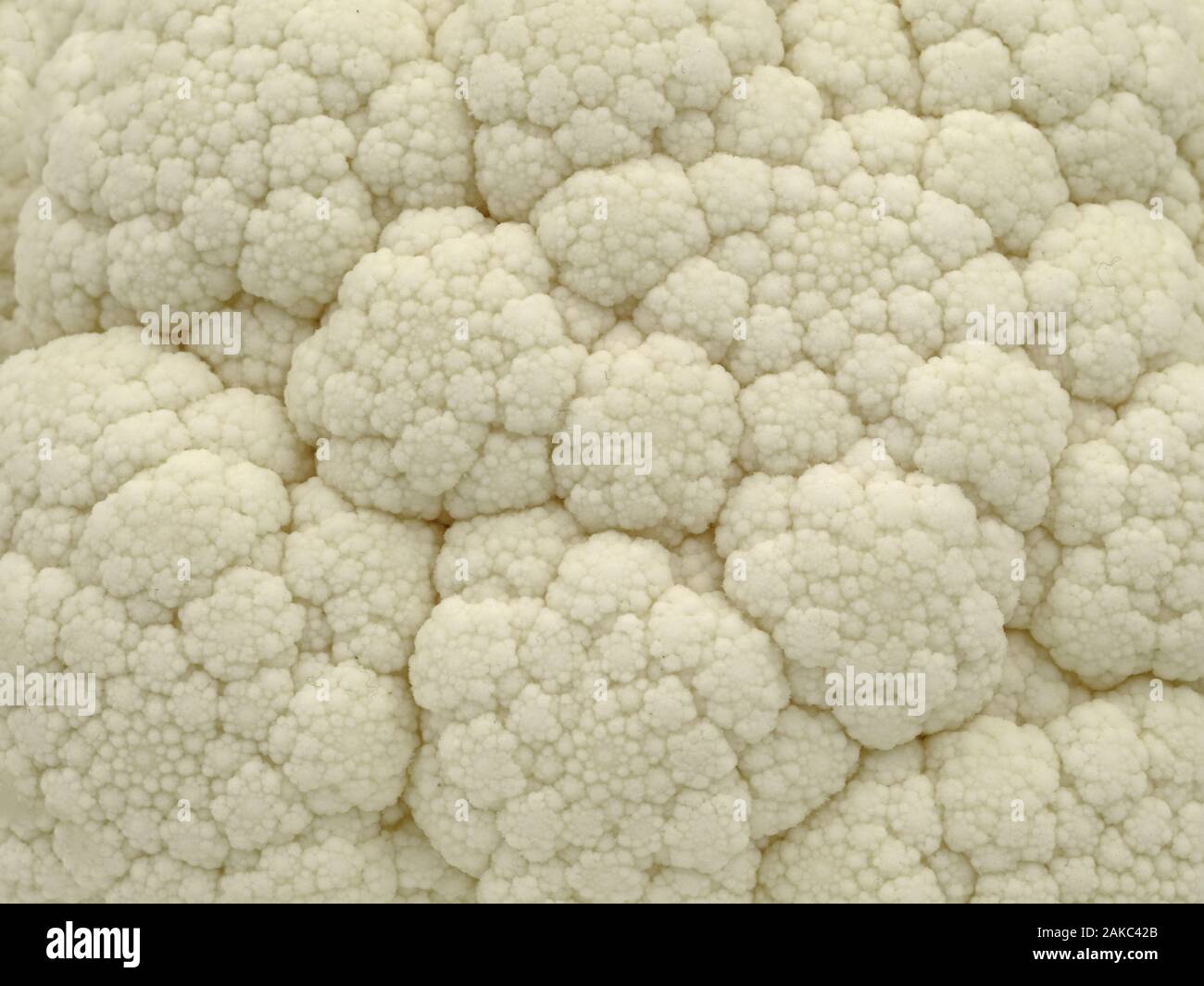 close up top view white cauliflower texture, natural background Stock