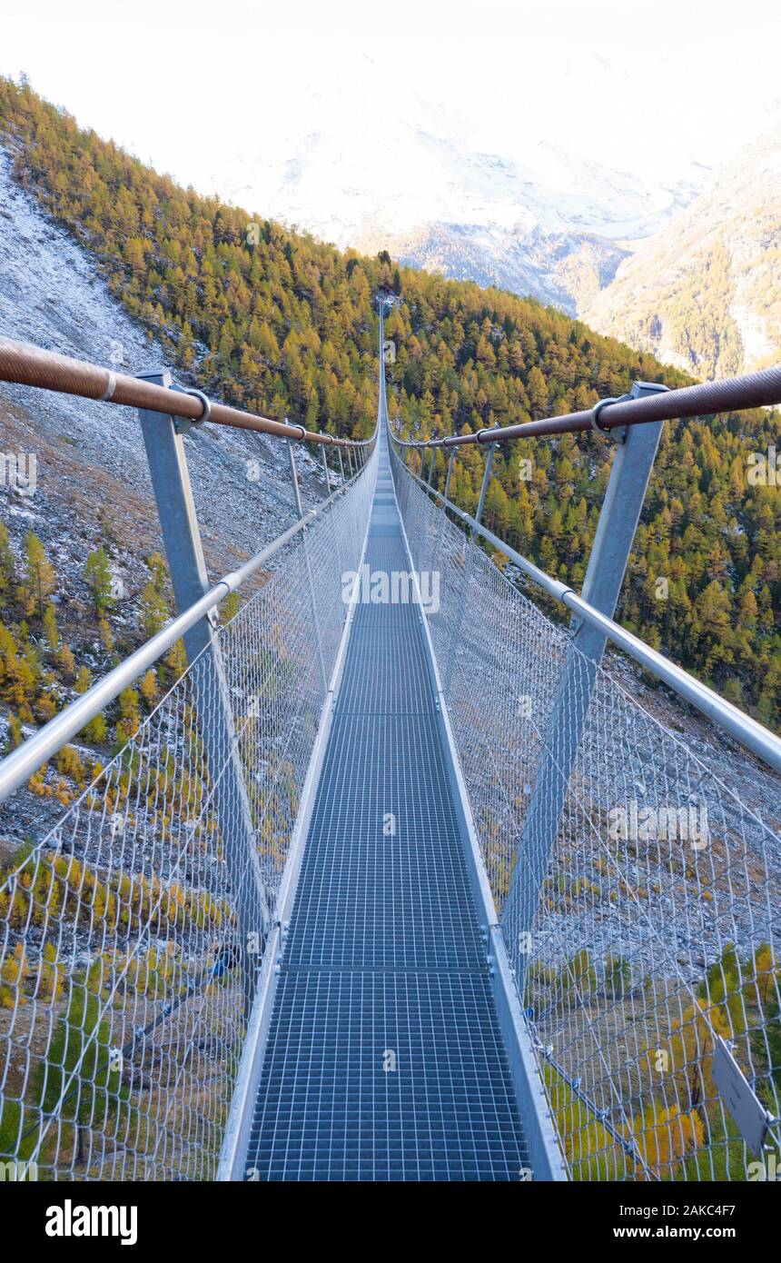 Switzerland, Valais, Zermatt valley, hiking between Randa and Zermatt