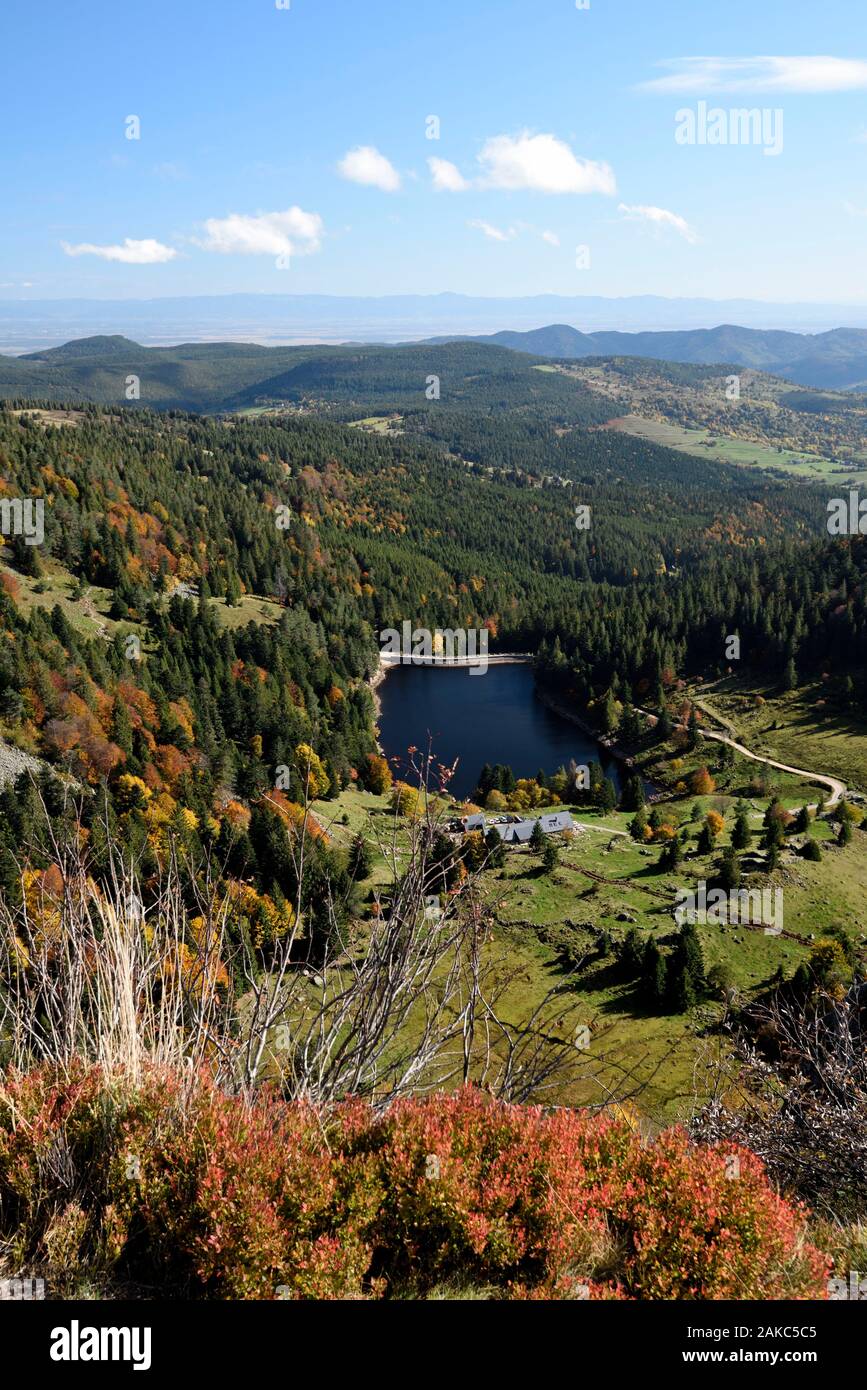France, Haut Rhin, Hautes Vosges, Gazon du Faing nature reserve, Forlet lake, the plain of France, Haut Rhin, Hautes Vosges, Gazon du Faing nature reserve, Forlet lake, the plain of
