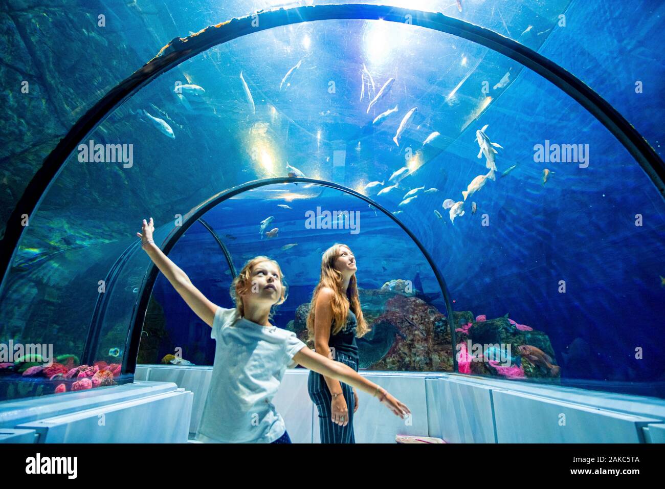 Canada, Quebec province, Quebec, Aquarium of Quebec, Shark Tunnel Stock Photo