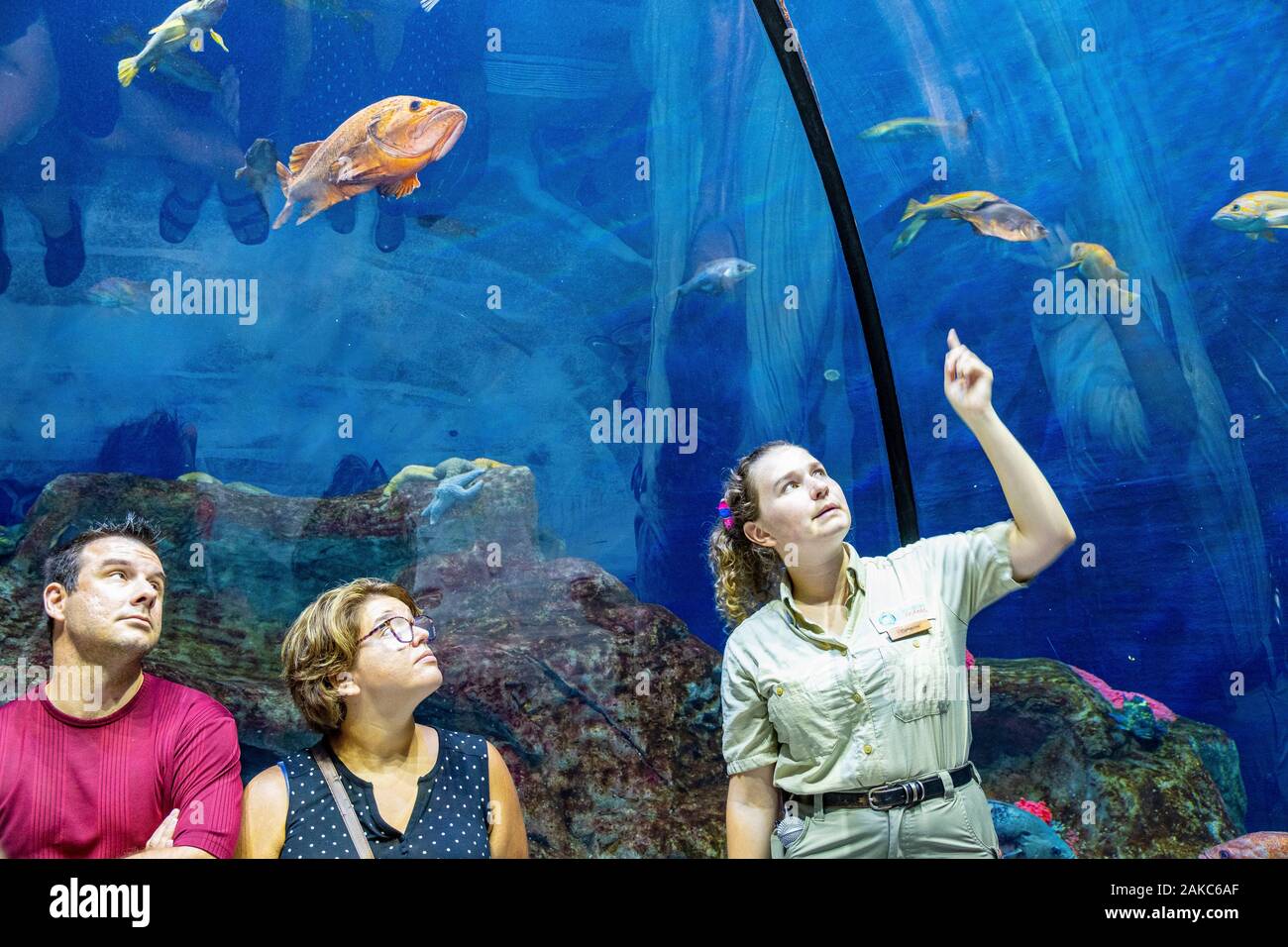 Quebec Aquarium High Resolution Stock Photography And Images Alamy