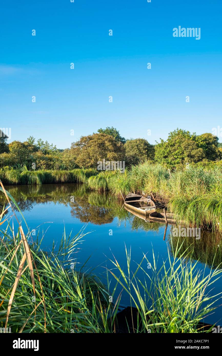 Marais De Briere High Resolution Stock Photography and Images - Alamy