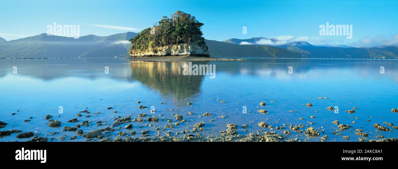 Lone island off Marlborough Sounds coast, New Zealand Stock Photo