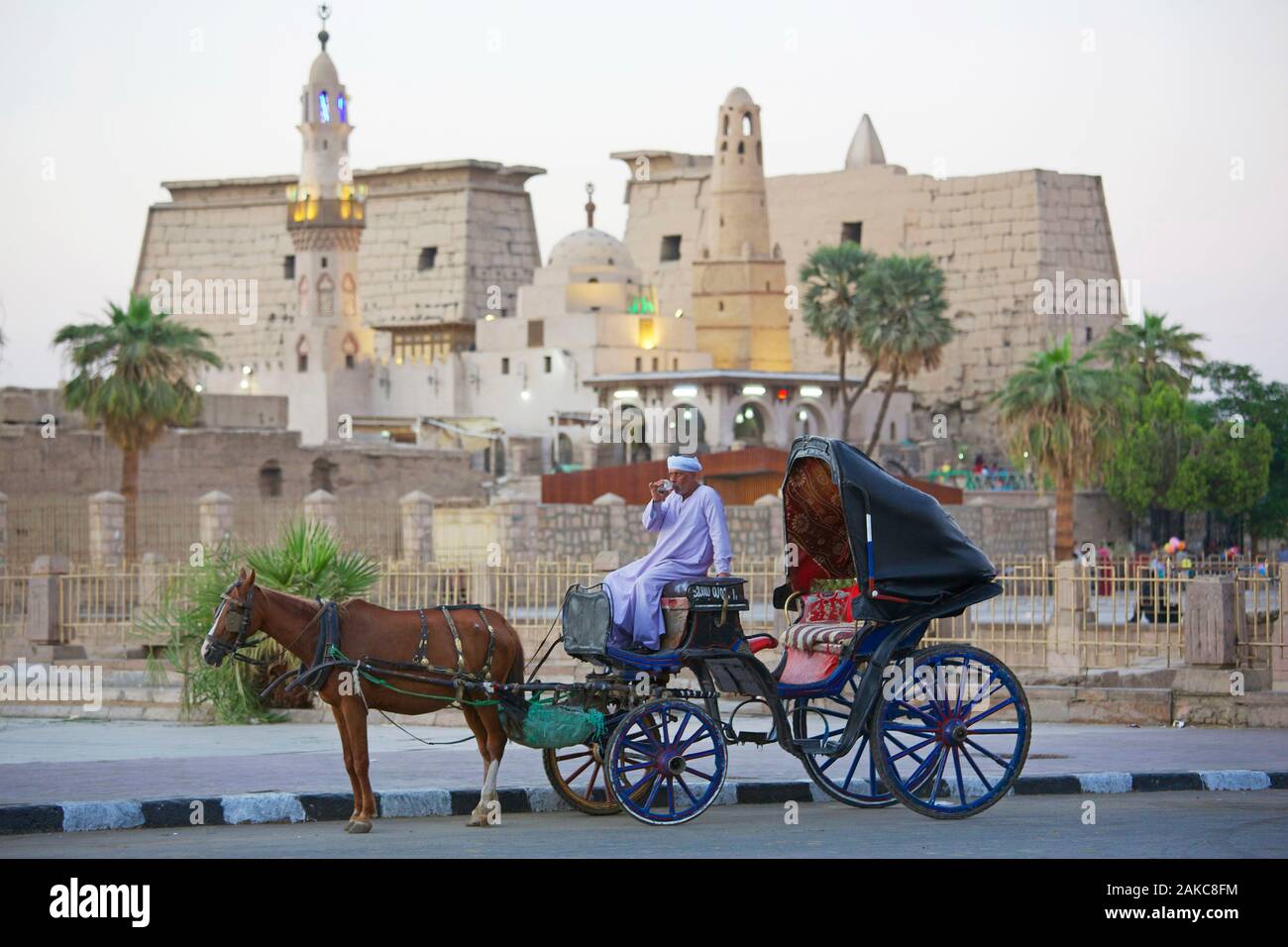 Egypt, Upper Egypt, Nile Valley, Luxor, turbaned man drinking tea on his horse carriage parked in front of Luxor Temple and Abu Haggag Mosque Stock Photo