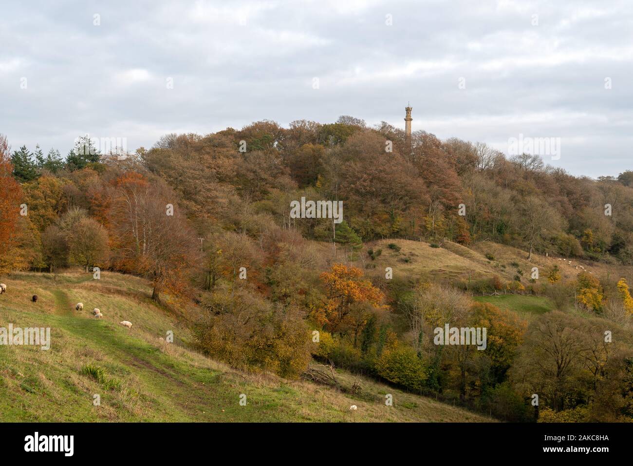 Landscape photo of the Admiral Hood Monument near Butleigh in Somerset