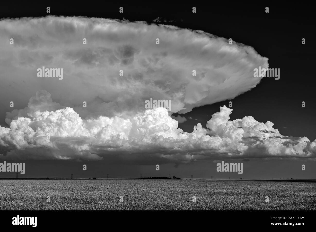 Scenic Great Plains landscape with a thunderstorm cumulonimbus cloud anvil in the sky over a field near Goodland, Kansas Stock Photo