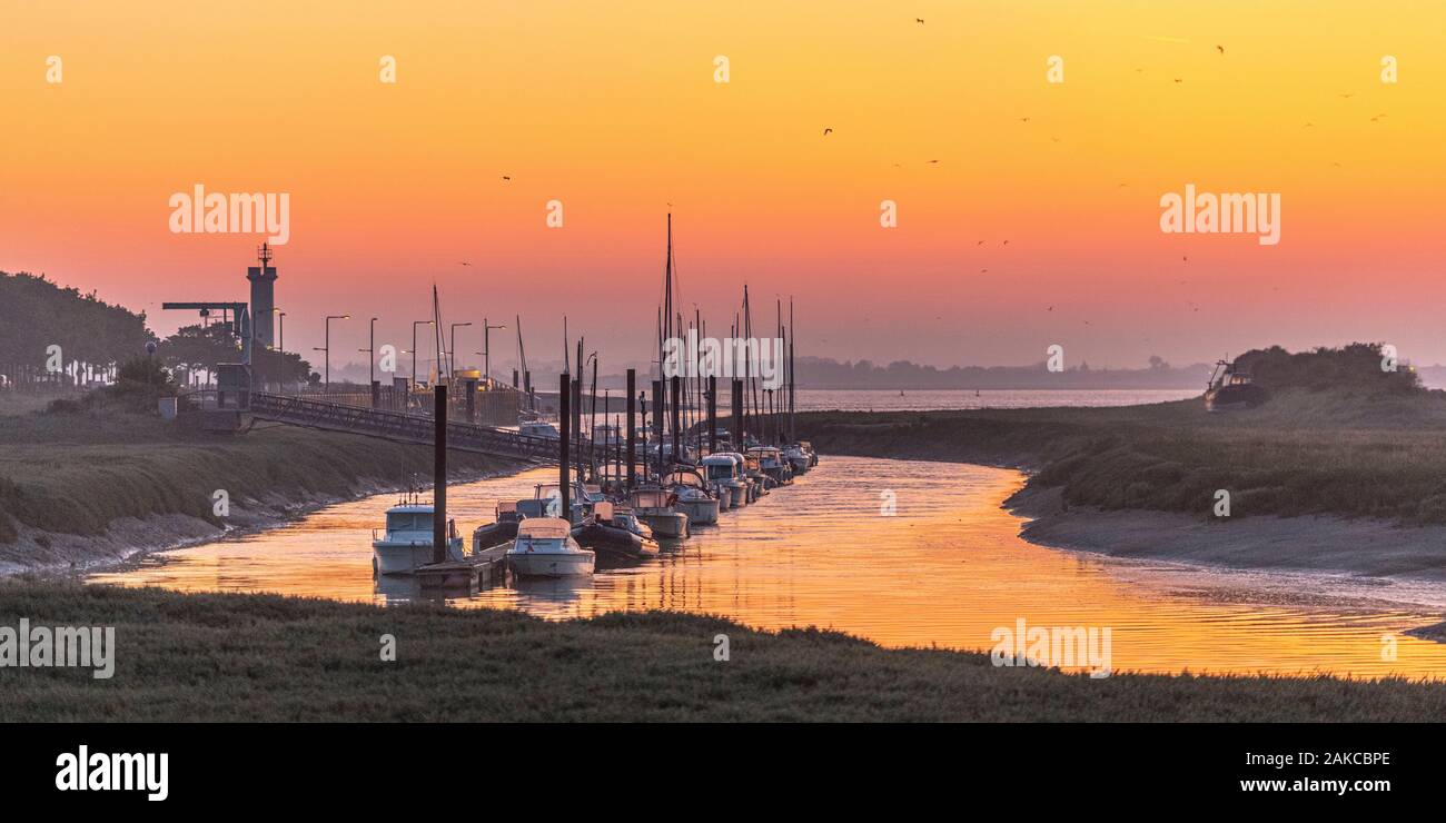 France, Somme (80), Bay of the Somme, Le Hourdel, dawn on the port Stock Photo