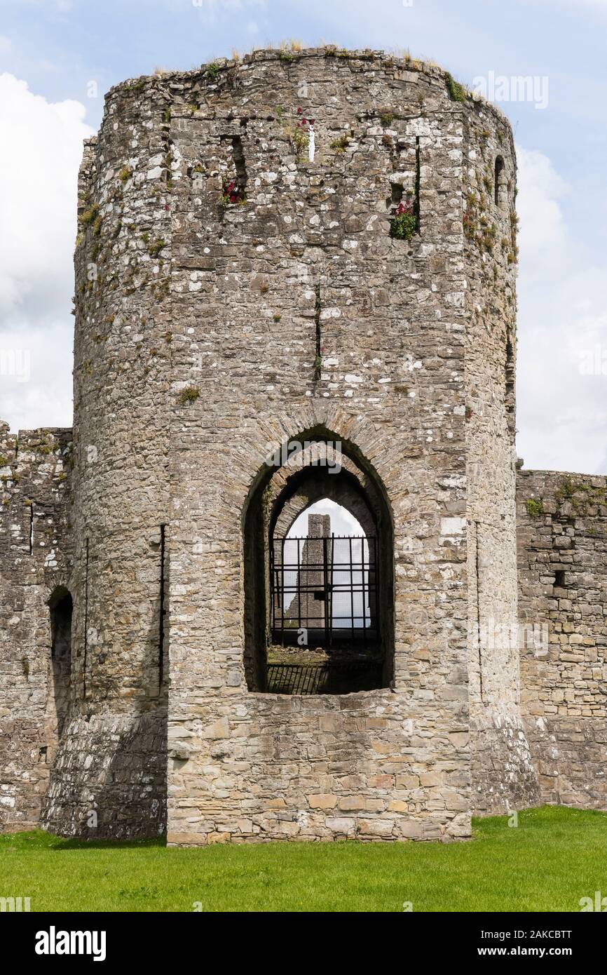 Ireland, Meath county, Trim castle Stock Photo Alamy