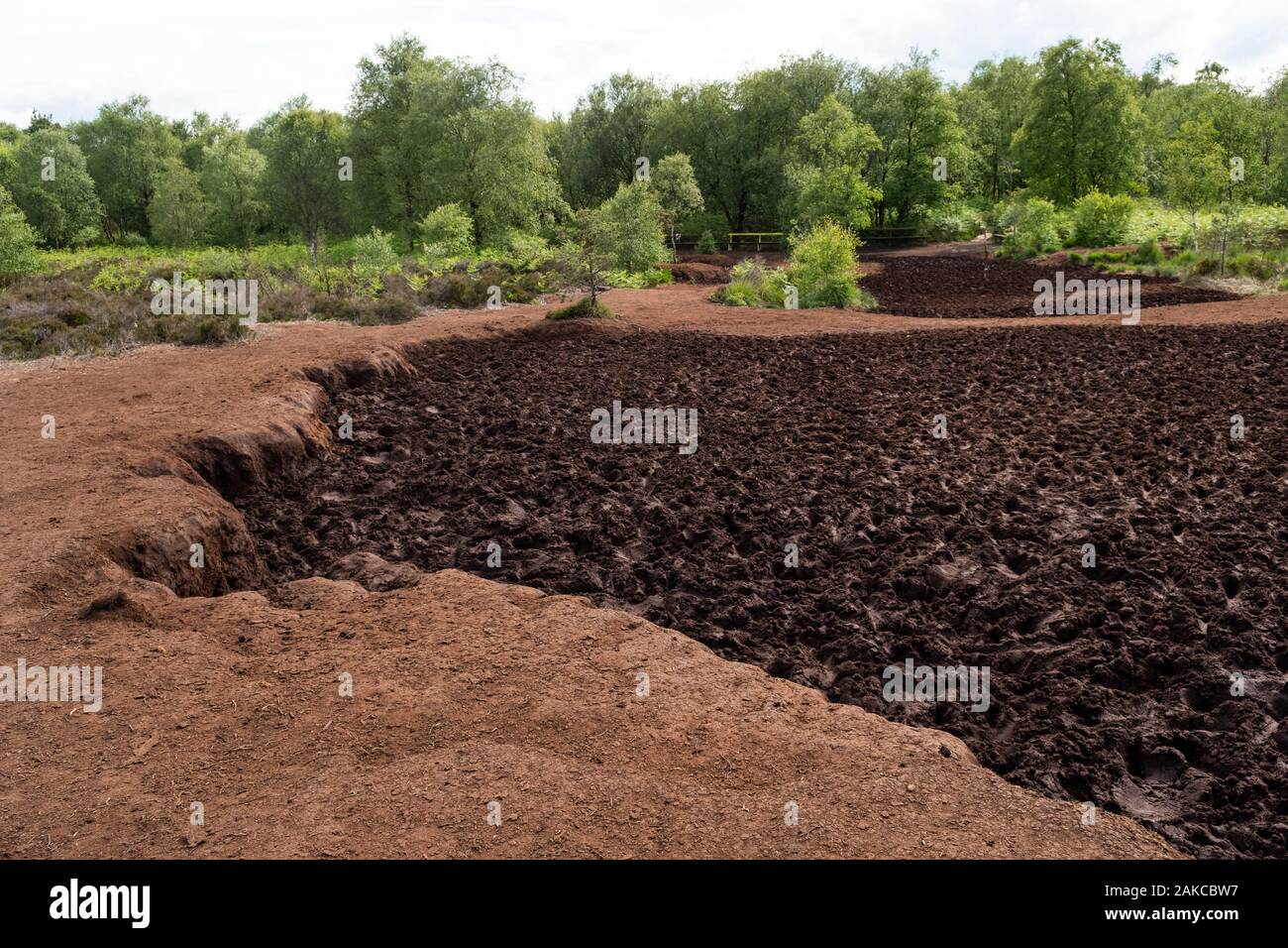 Ireland, Meath County, Navan area, Causey Farm, pedagogical farm