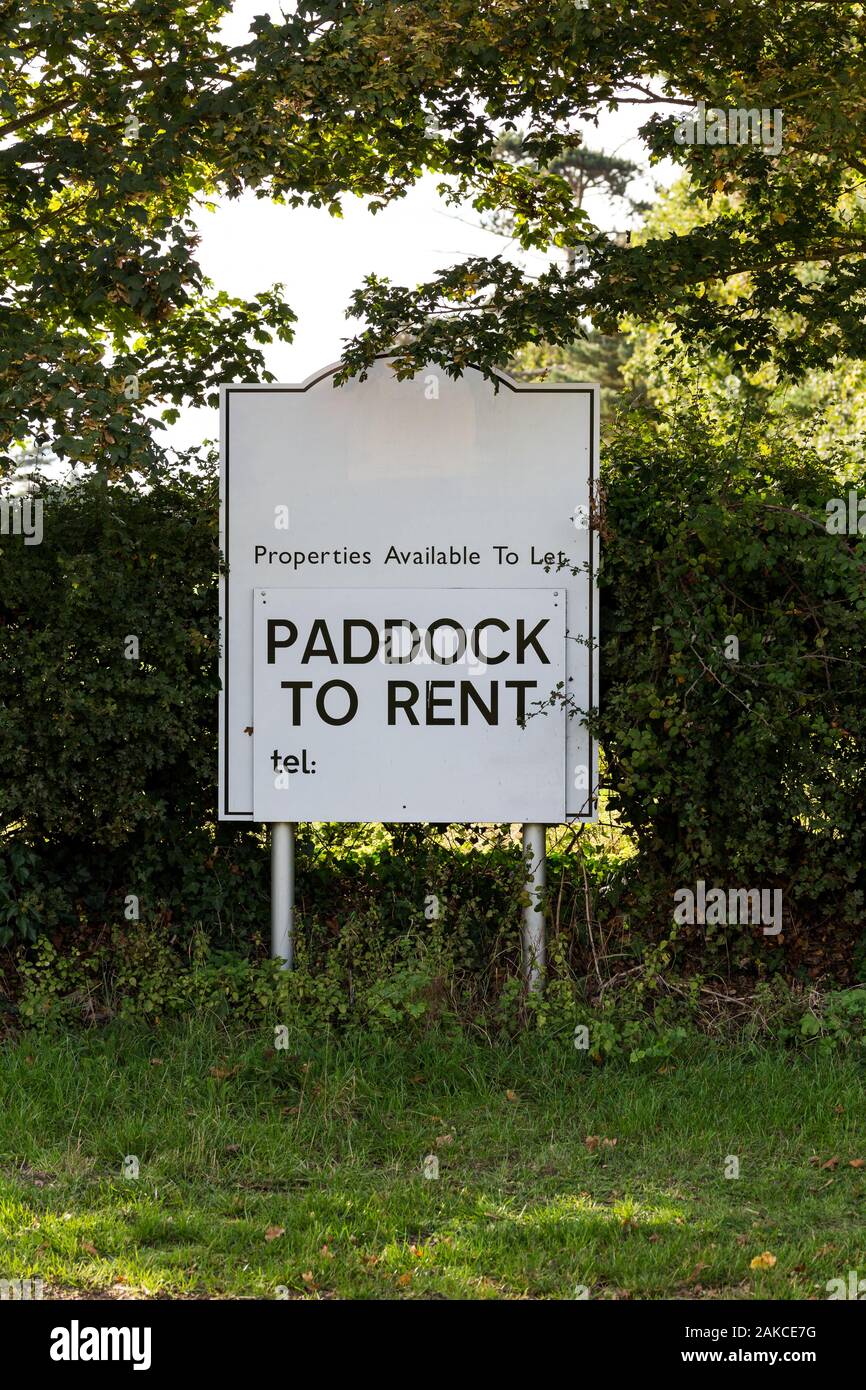 A large road side sign offering a paddock that is up for rent Stock Photo