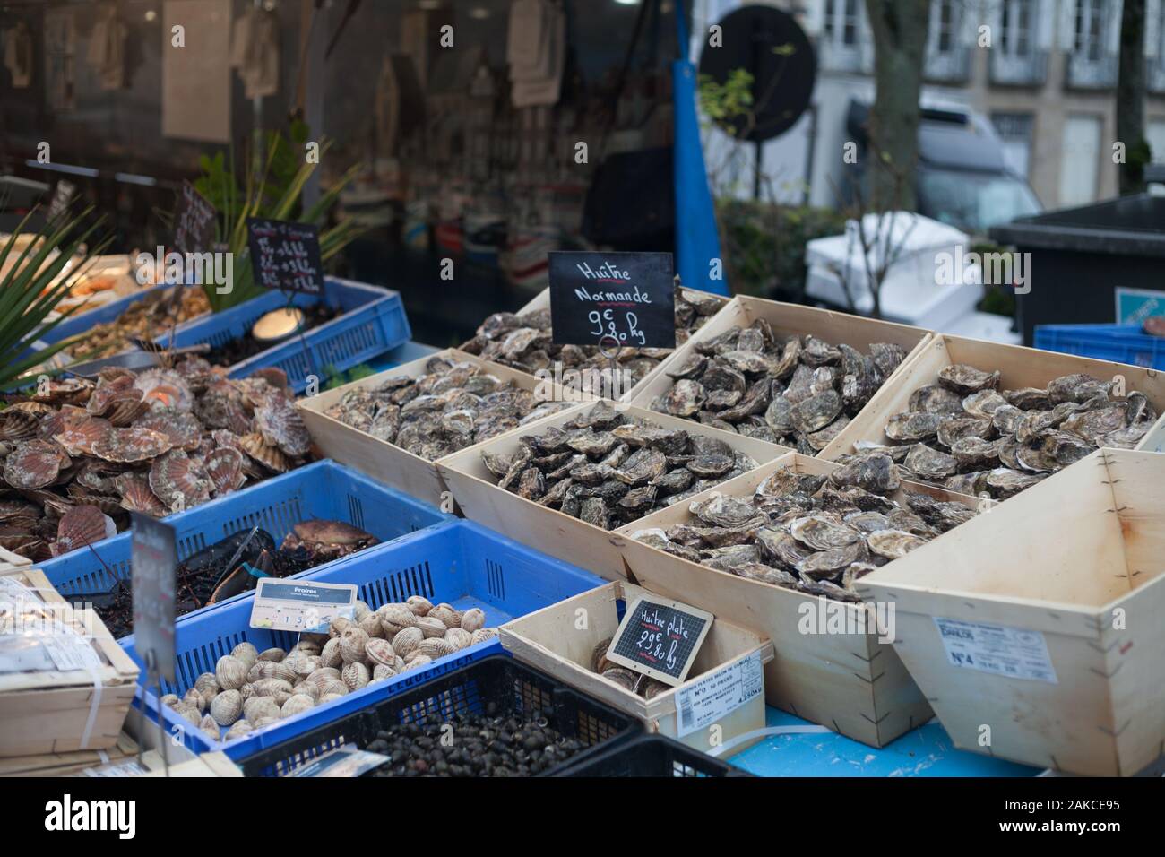 Oysters a French favourite at Christmas time, sold at Alençon market