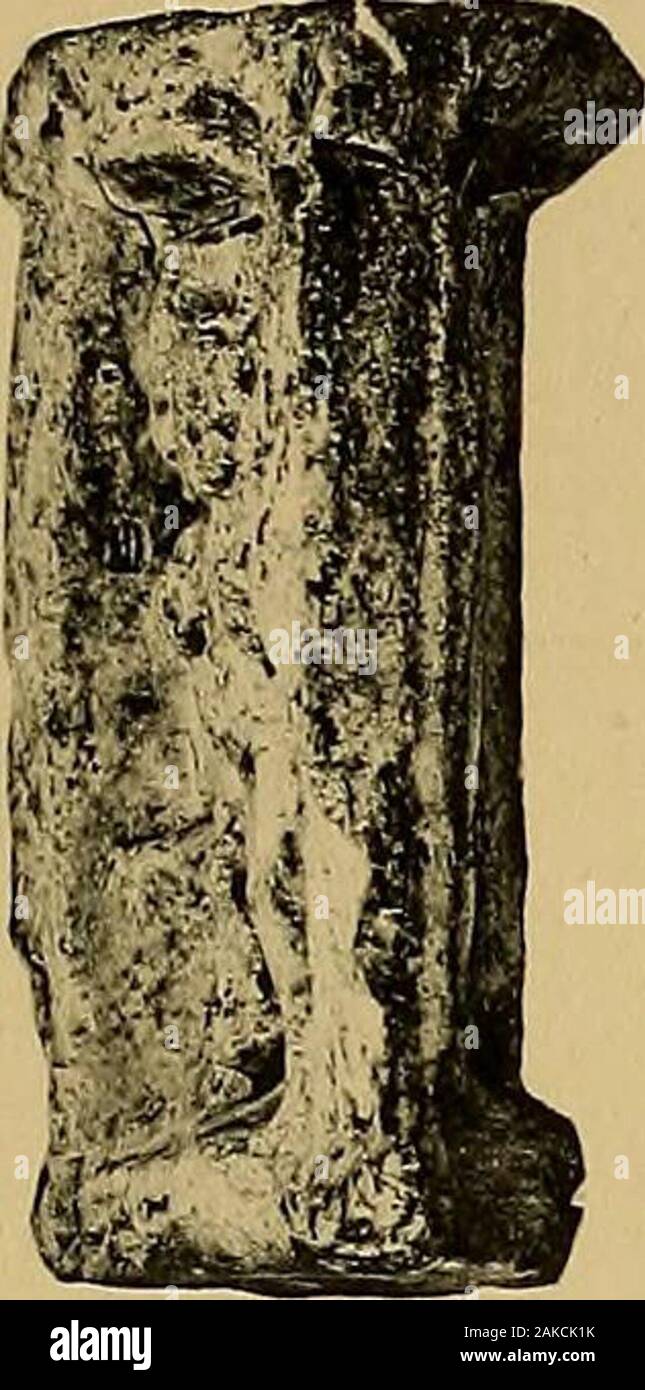 Ts 50 Hi Res Stock Photography And Images Page 3 Alamy