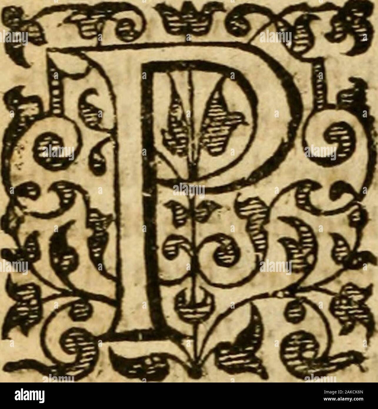 The Mount Of Calvarie Rch To Preach In Nor Prieft Tobee Ordained Nor Sacrament To Bee Adminillred C Rihs Fayth To This Purpofe If The Foime Of God Woumhaue Merited Additionally, nor is generally not used where neither is not also used. alamy