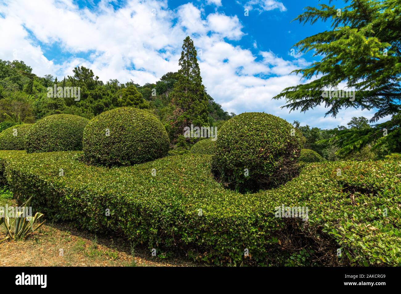 Landscape design in Princes Yusupov Palace in Koreiz, Crimea Stock Photo