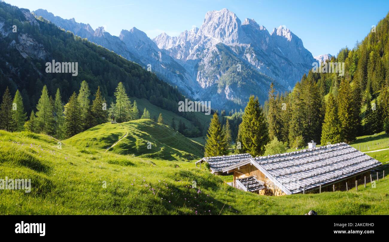 Idyllic landscape in the Alps with traditional mountain chalets and fresh green mountain pastures in summer Stock Photo