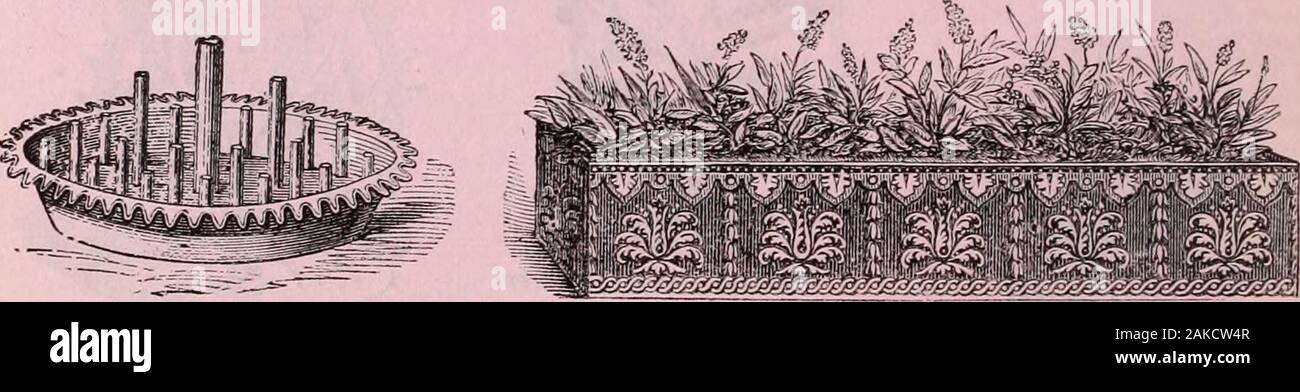 Barr & Sugden's spring seed catalogue and guide to the flower and kitchen garden / Barr & Sugden. . The above represents a beautiful PalisstVase, which we sometimes use as a basinin ferneries, or as a fern stand, and as a centrefor the dinner table. The vase is £4 4s.We have many other designs in Palissy-ware.. Eound Cut Flower Trats, ja-panned in green, 3.5. M. and 4s. Gd.;in white and gold, 4s. dd. and Gs. Qd.;oval, 4s. and 5s. Gd., and 5s. dd. andOs. id. Encaustic Tile Window Box, 20s. per bos andupwards, according to size and quality of tile. Ditto Mignonette Boxes, los. per box and upward Stock Photo
