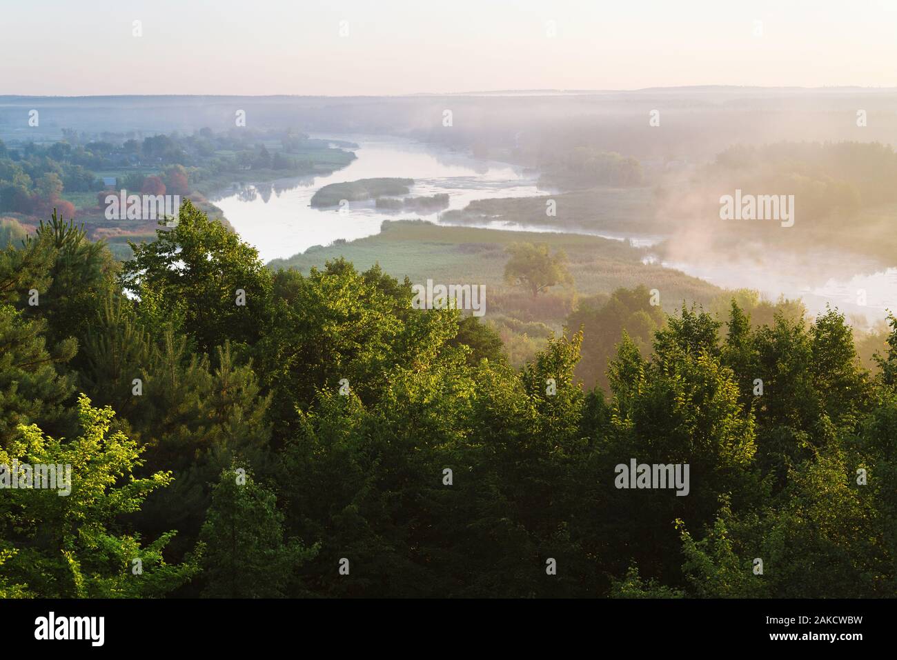 Morning fog. Summer landscape with river Stock Photo - Alamy