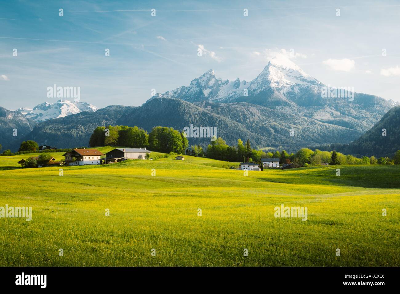 Beautiful view of idyllic alpine mountain scenery with blooming meadows and snowcapped mountain peaks on a beautiful sunny day with blue sky in spring Stock Photo