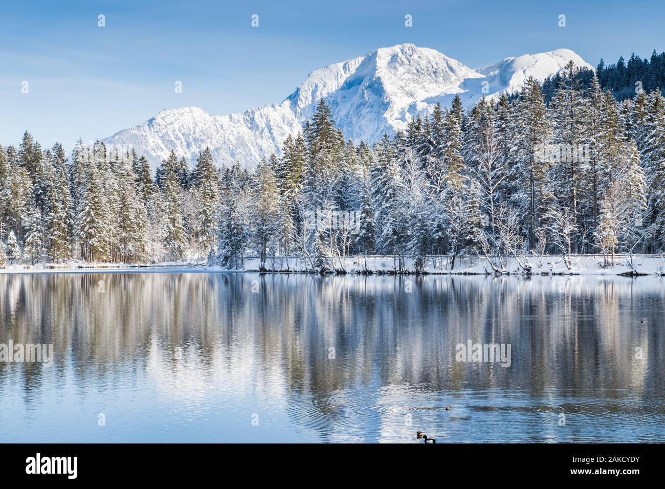 Idyllic winter wonderland with crystal clear mountain lake in the Alps on a beautiful cold sunny day Stock Photo