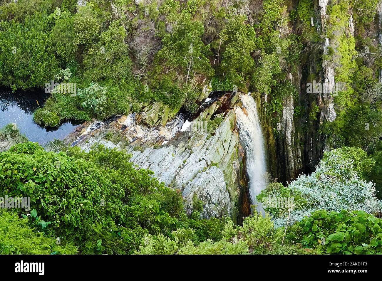 Nature in Tsitsicama western cape South Africa Stock Photo - Alamy