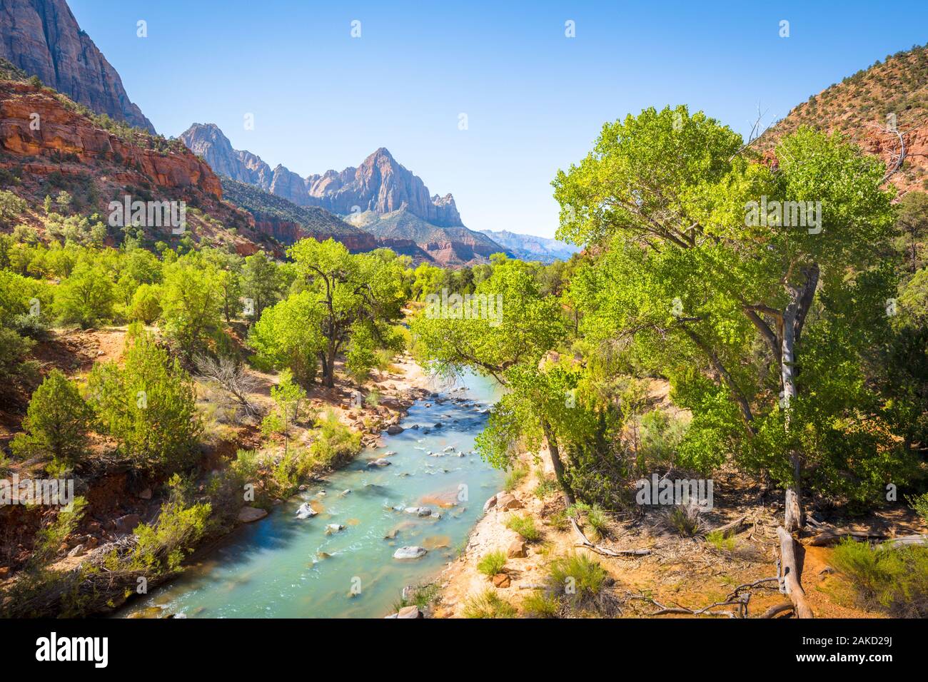 Zion National Park scenery with famous Virgin river and The Watchman mountain peak in the background on a sunny day with blue sky in summer, Utah, USA Stock Photo