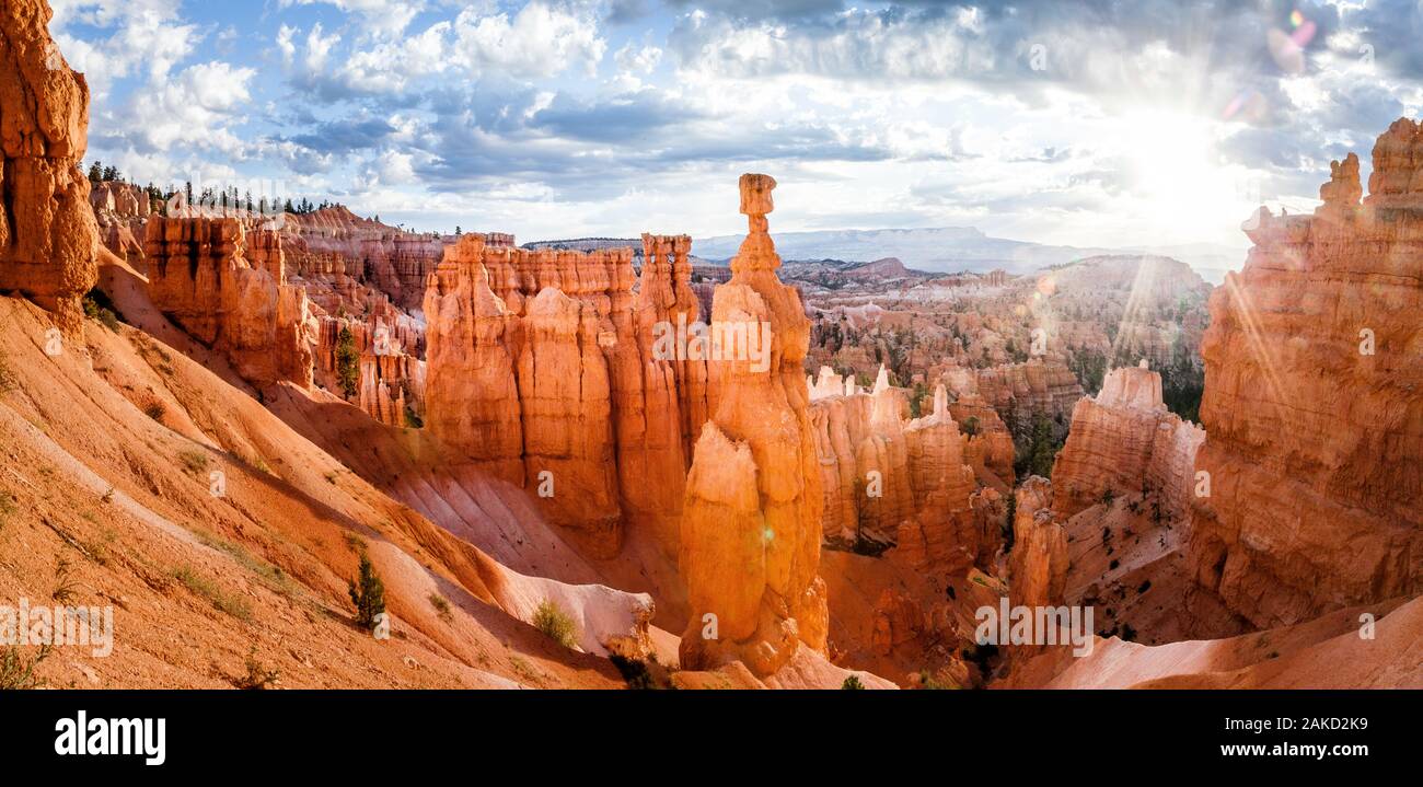 Panoramic view of scenic Bryce Canyon National Park in beautiful golden morning light at sunrise with dramatic sky and blue sky, Utah, USA Stock Photo