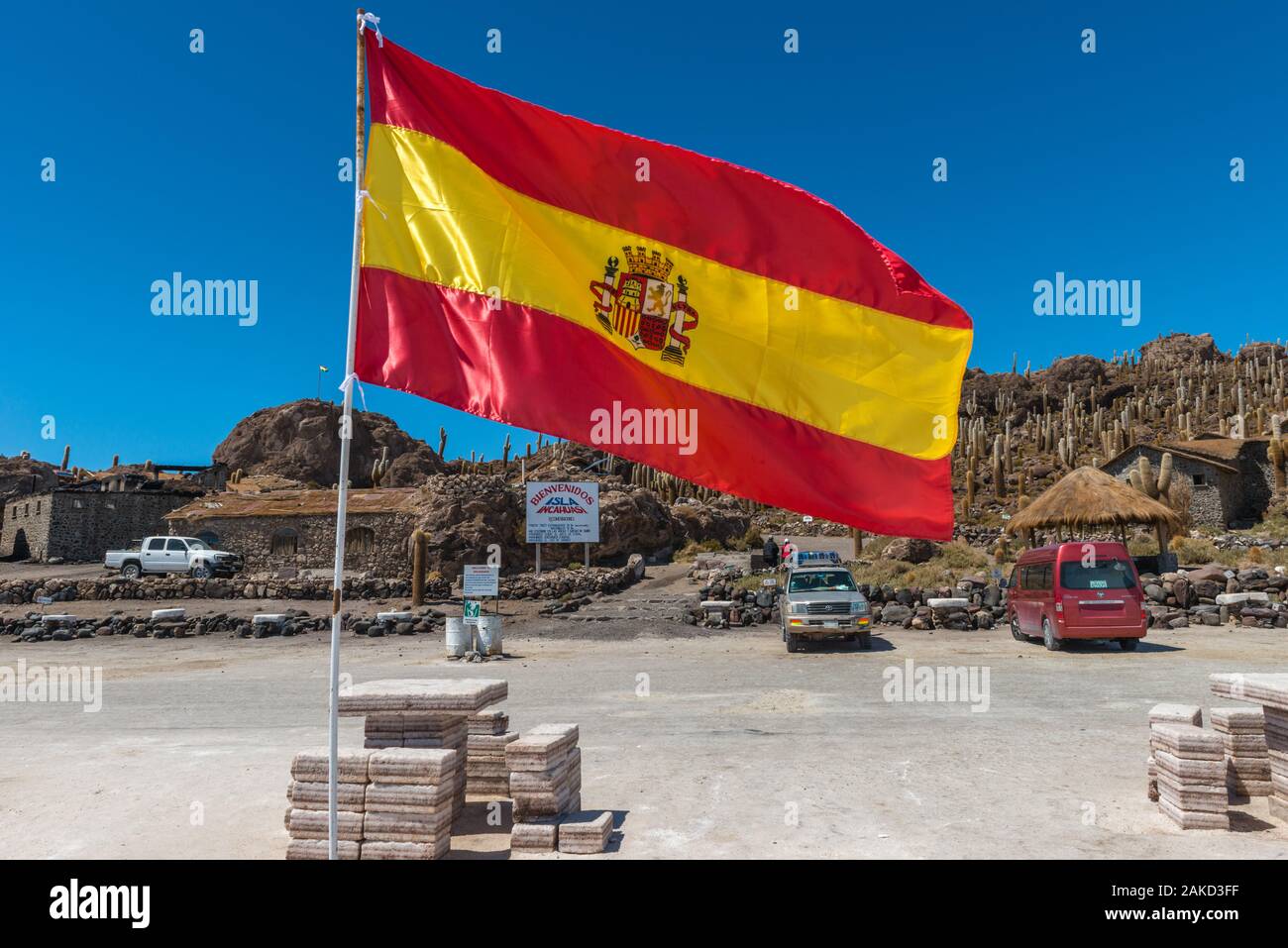 Isla Incahuasi in tne Saltlake Salar de Uyuni, Department Potosi, Southwest Bolivia, Latin America Stock Photo