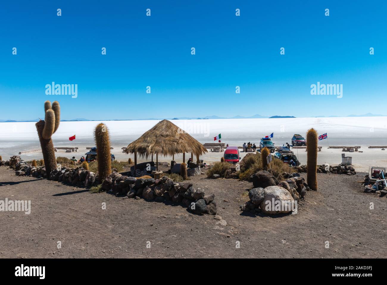 Isla Incahuasi in tne Saltlake Salar de Uyuni, Department Potosi, Southwest Bolivia, Latin America Stock Photo
