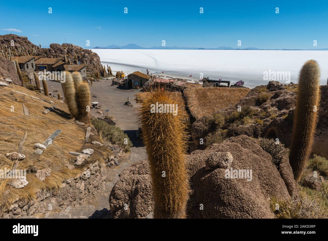 Isla Incahuasi in tne Saltlake Salar de Uyuni, Department Potosi, Southwest Bolivia, Latin America Stock Photo