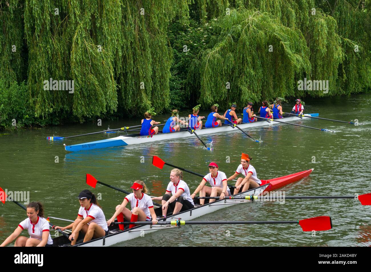 Female boat crew on the river Cam taking part in The Bumps row boat regatta in Summer, Cambridge, UK Stock Photo