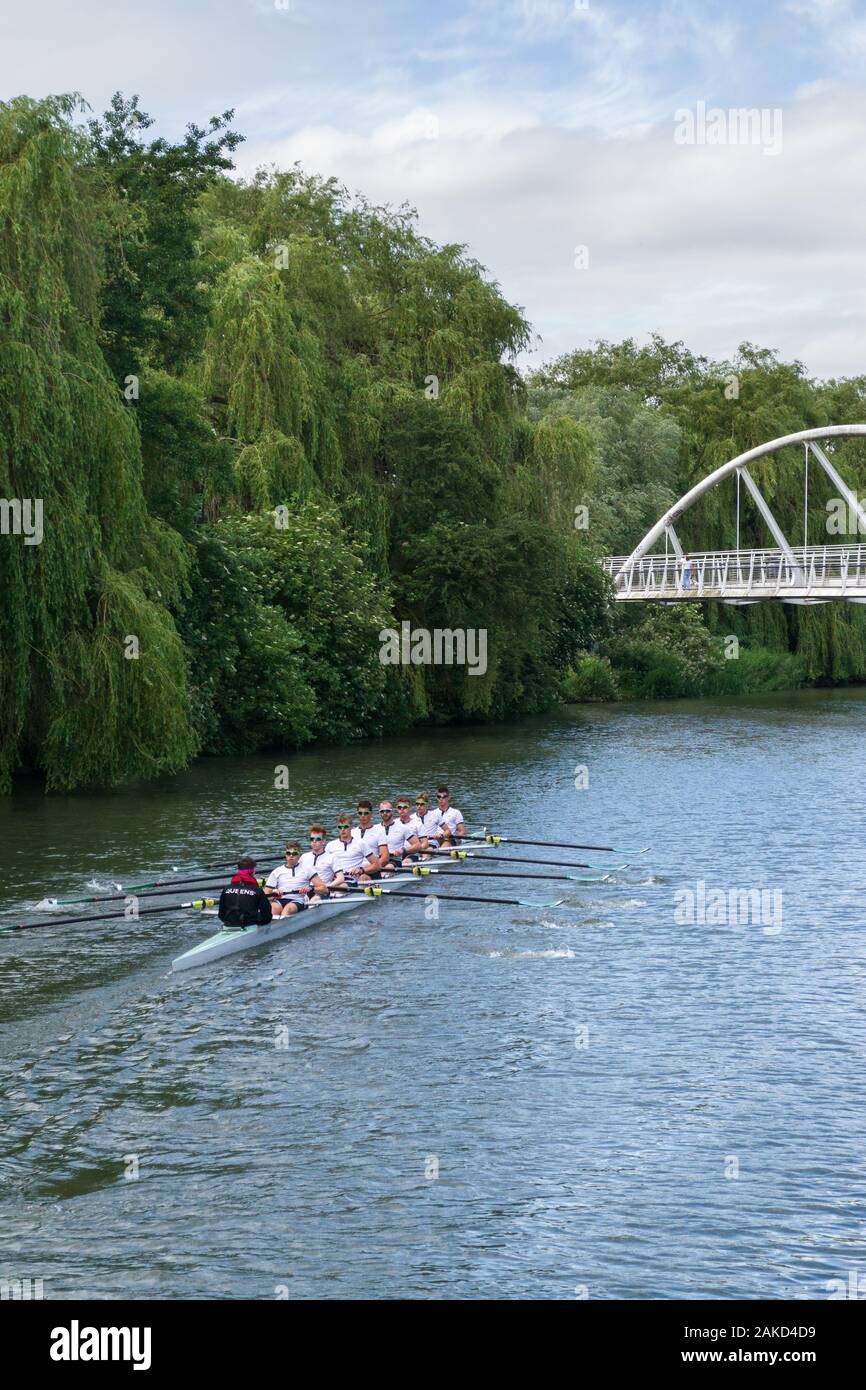 Mens boat crew on the river Cam taking part in The Bumps row boat regatta in Summer, Cambridge, UK Stock Photo