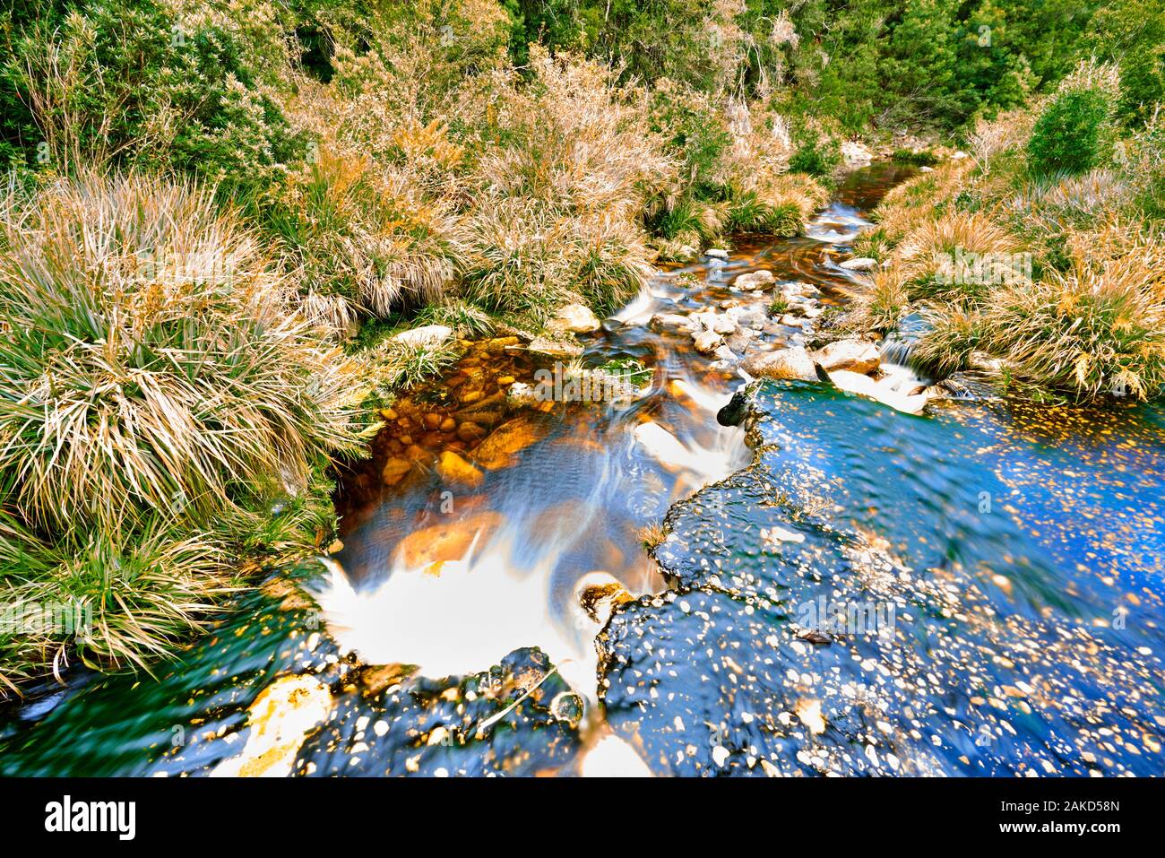 Nature in Tsitsicama South Africa Stock Photo