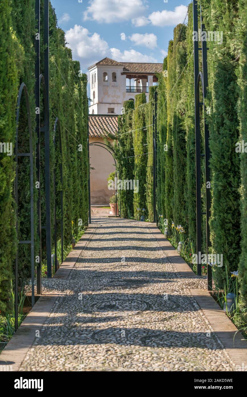Arabic style architecture, building and art design in Alhambra Stock ...