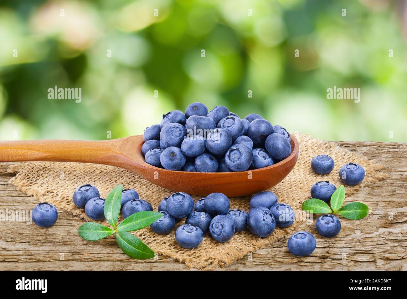 fresh ripe blueberry in wooden spoon on the old rustic table with blurred garden background Stock Photo